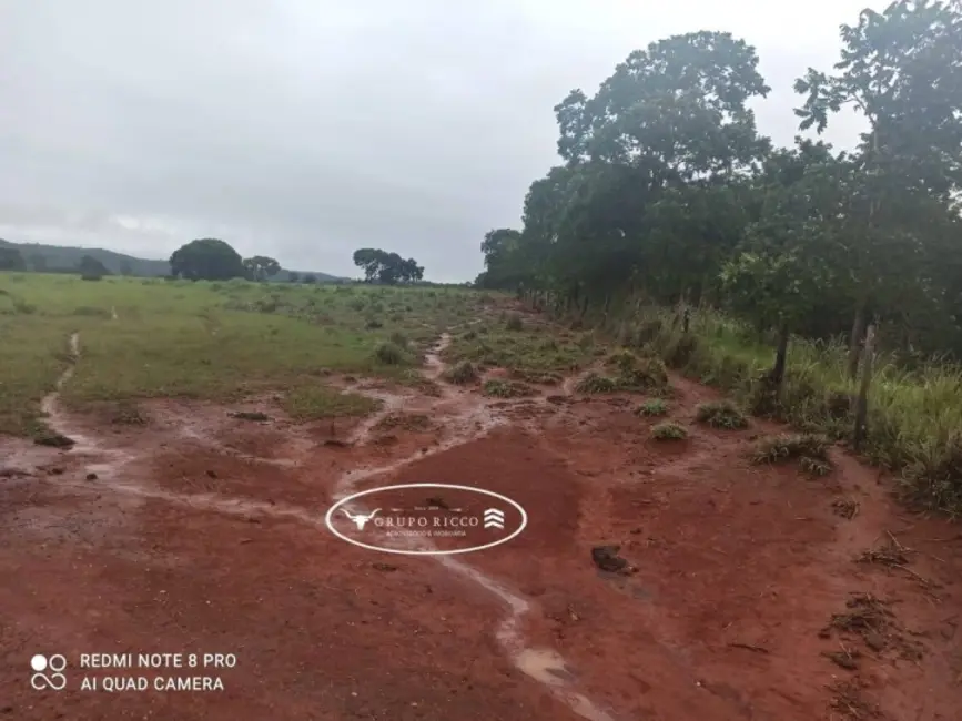 Foto 5 de Fazenda / Haras à venda, 21m2 em Israelandia - GO