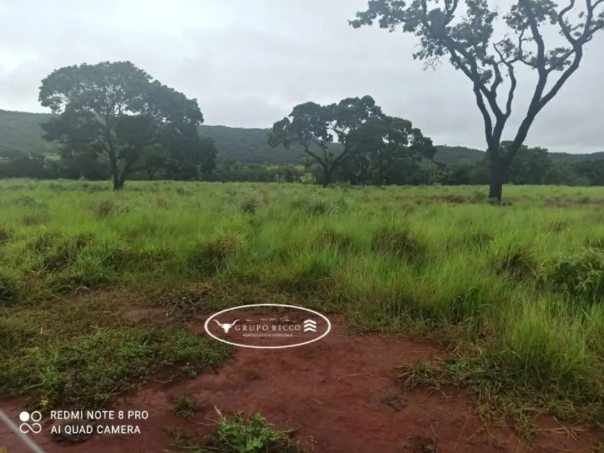 Foto 8 de Fazenda / Haras à venda, 21m2 em Israelandia - GO