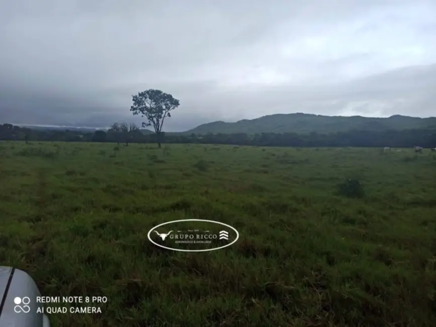 Foto 3 de Fazenda / Haras à venda, 21m2 em Israelandia - GO