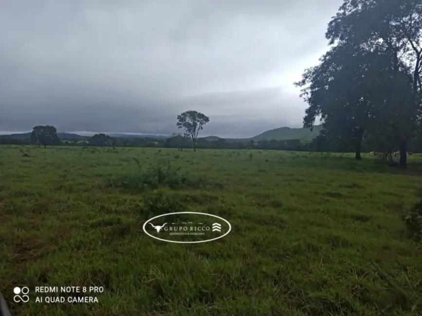 Foto 2 de Fazenda / Haras à venda, 21m2 em Israelandia - GO