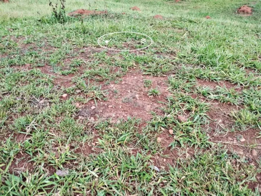 Foto 9 de Fazenda / Haras à venda, 21m2 em Jaupaci - GO