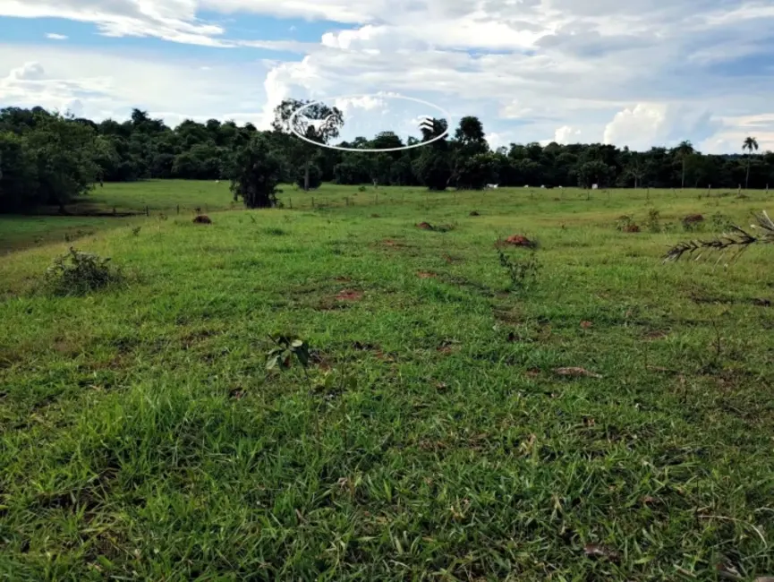 Foto 4 de Fazenda / Haras à venda, 21m2 em Jaupaci - GO