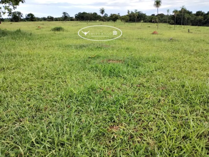 Foto 8 de Fazenda / Haras à venda, 21m2 em Jaupaci - GO