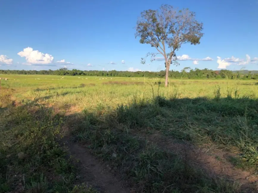 Foto 5 de Fazenda / Haras com 3 quartos à venda, 150m2 em Amaralina - GO