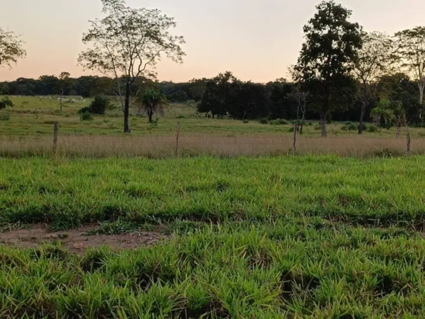 Foto 1 de Fazenda / Haras com 3 quartos à venda, 150m2 em Amaralina - GO