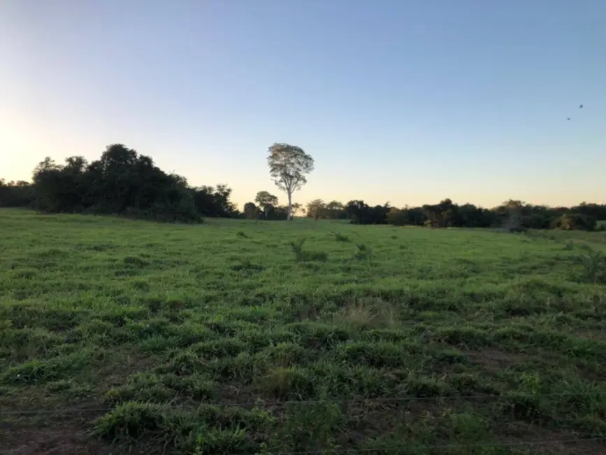 Foto 4 de Fazenda / Haras com 3 quartos à venda, 150m2 em Amaralina - GO