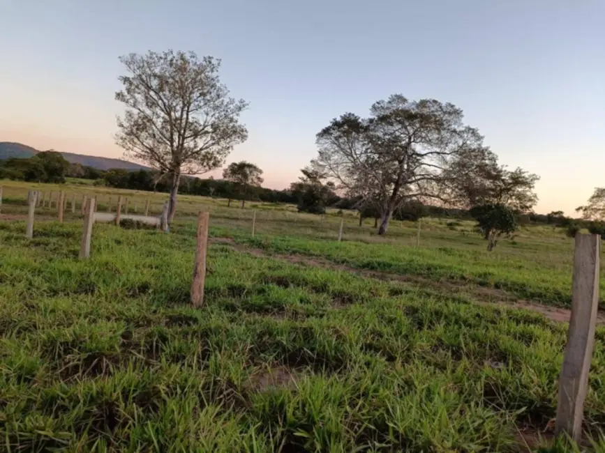 Foto 2 de Fazenda / Haras com 3 quartos à venda, 150m2 em Amaralina - GO