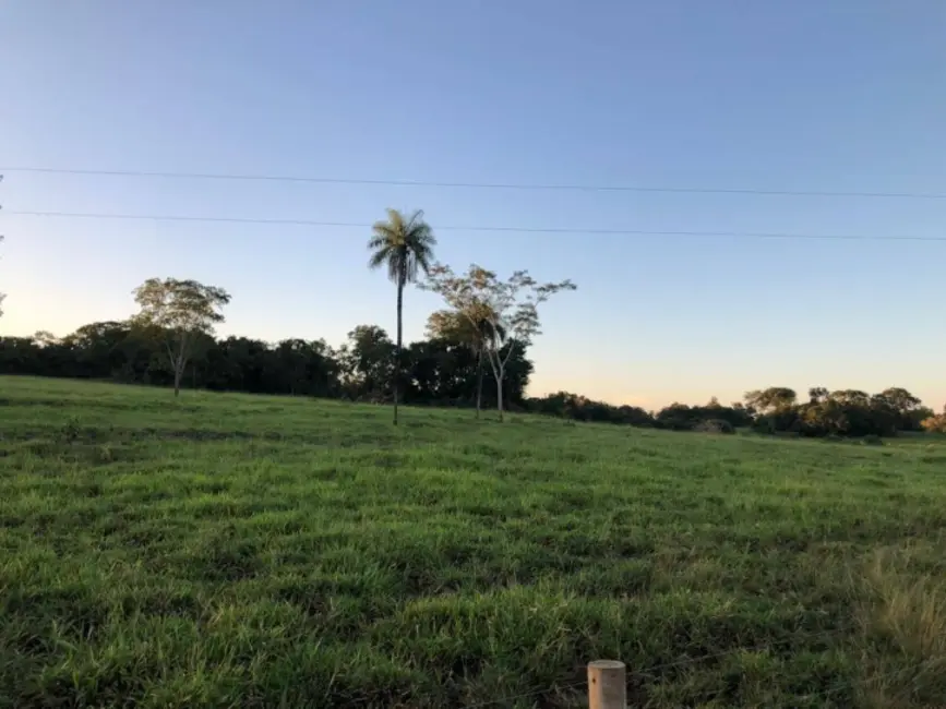 Foto 3 de Fazenda / Haras com 3 quartos à venda, 150m2 em Amaralina - GO
