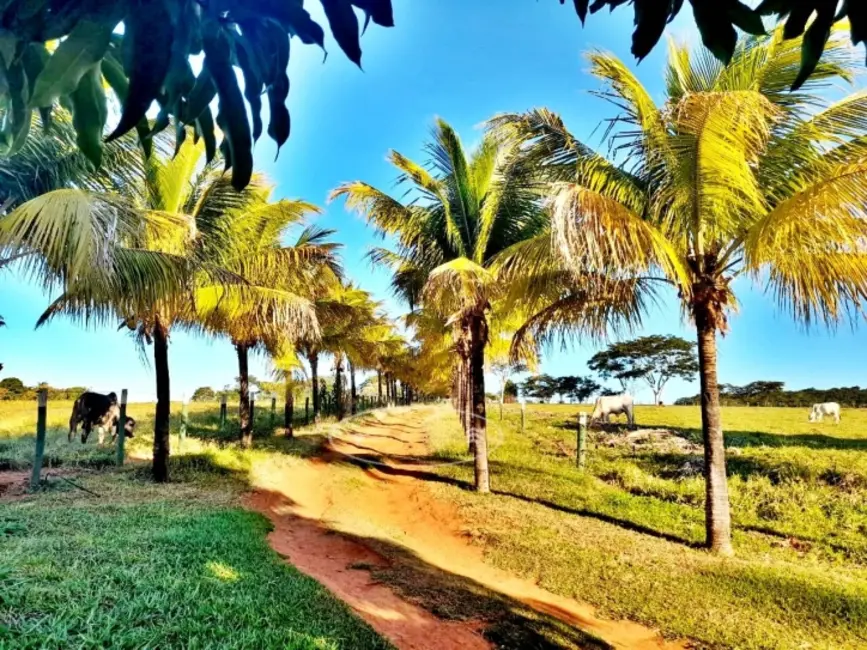 Foto 1 de Chácara à venda em Itaucu - GO