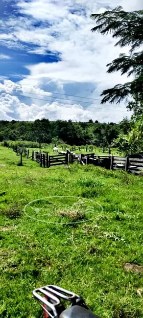 Foto 4 de Fazenda / Haras à venda, 80m2 em Ivolandia - GO