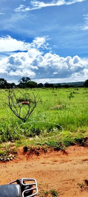 Foto 7 de Fazenda / Haras à venda, 80m2 em Ivolandia - GO