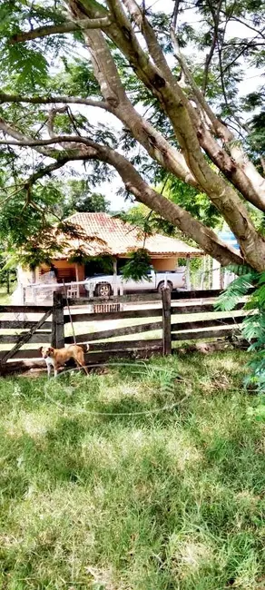 Foto 9 de Fazenda / Haras à venda, 80m2 em Ivolandia - GO