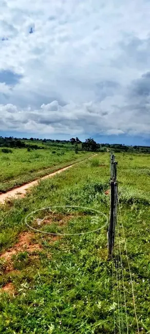 Foto 5 de Fazenda / Haras à venda, 80m2 em Ivolandia - GO