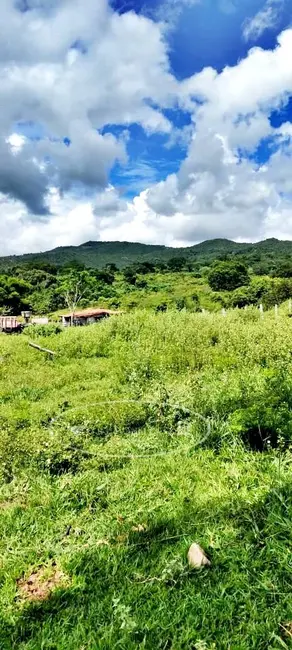 Foto 6 de Fazenda / Haras à venda, 80m2 em Ivolandia - GO