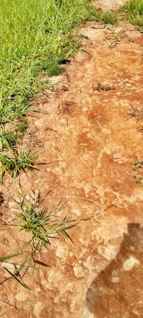 Foto 3 de Fazenda / Haras à venda, 80m2 em Ivolandia - GO