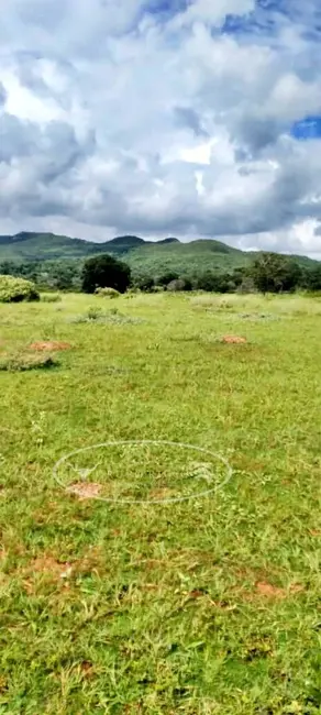 Foto 2 de Fazenda / Haras à venda, 80m2 em Ivolandia - GO