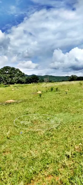 Foto 8 de Fazenda / Haras à venda, 80m2 em Ivolandia - GO