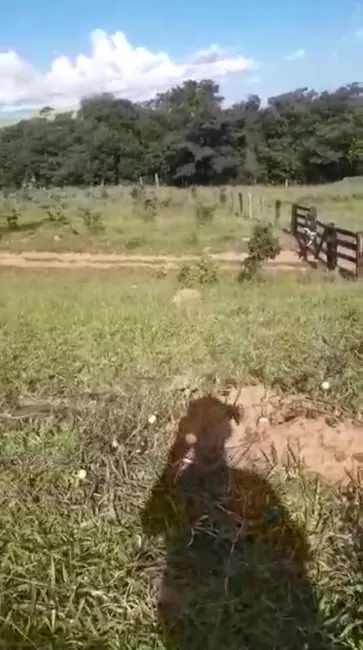 Foto 3 de Fazenda / Haras com 3 quartos à venda, 65m2 em Corrego Do Ouro - GO