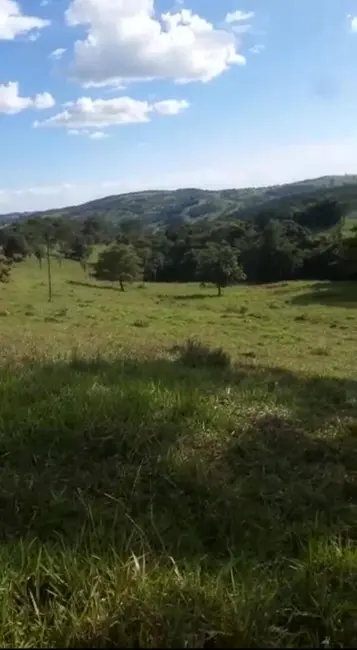 Foto 4 de Fazenda / Haras com 3 quartos à venda, 65m2 em Corrego Do Ouro - GO