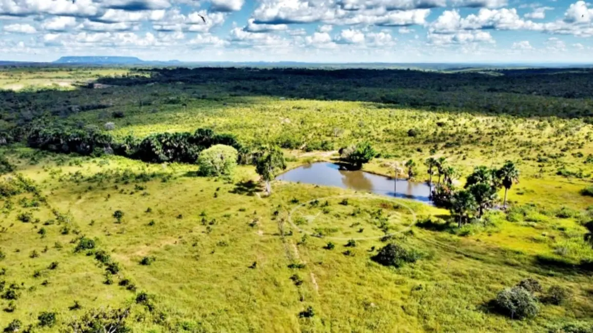 Foto 1 de Fazenda / Haras à venda, 100m2 em Ponte Alta Do Tocantins - TO