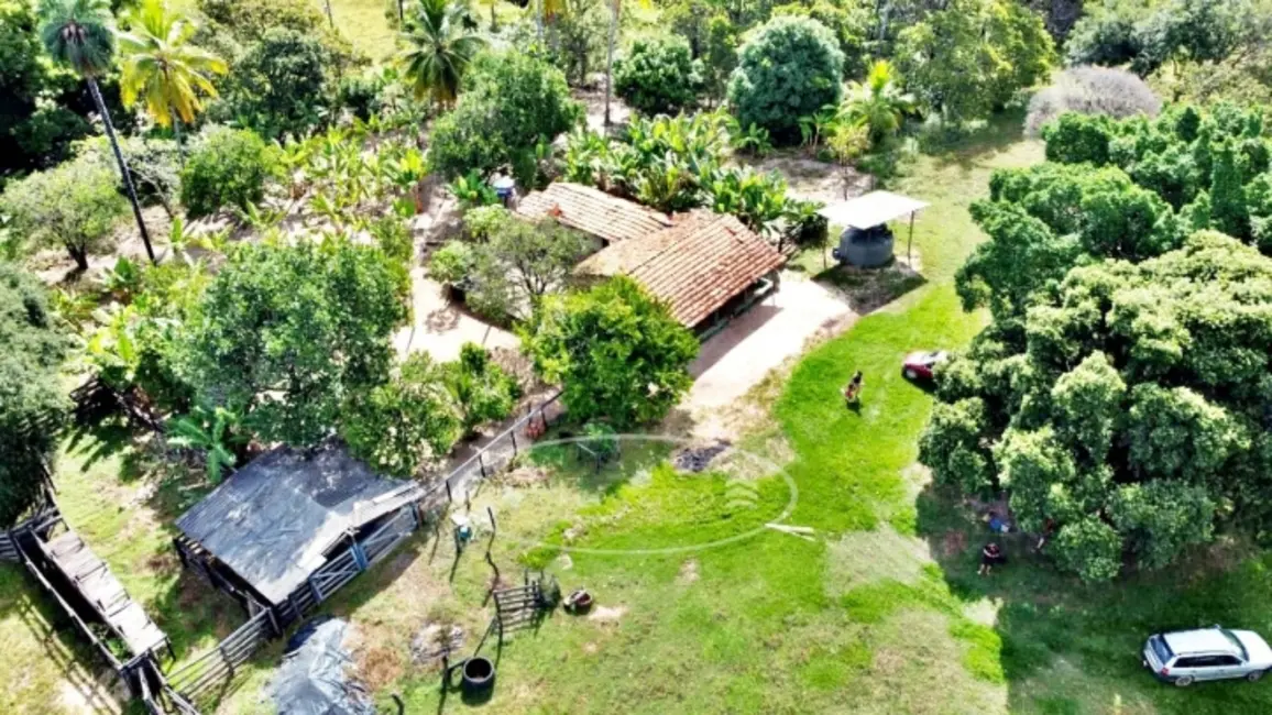 Foto 3 de Fazenda / Haras à venda, 100m2 em Ponte Alta Do Tocantins - TO