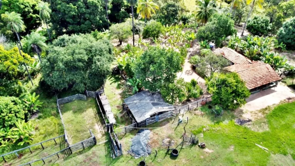 Foto 4 de Fazenda / Haras à venda, 100m2 em Ponte Alta Do Tocantins - TO