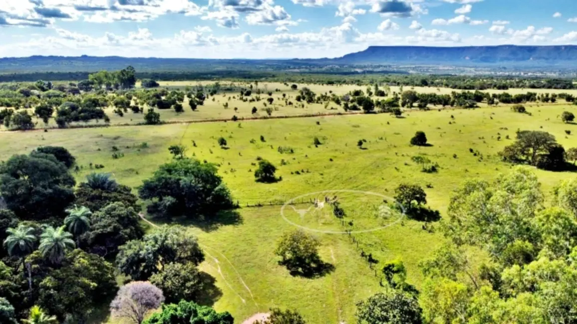 Foto 5 de Fazenda / Haras à venda, 100m2 em Ponte Alta Do Tocantins - TO