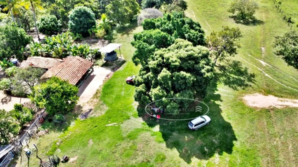 Foto 6 de Fazenda / Haras à venda, 100m2 em Ponte Alta Do Tocantins - TO