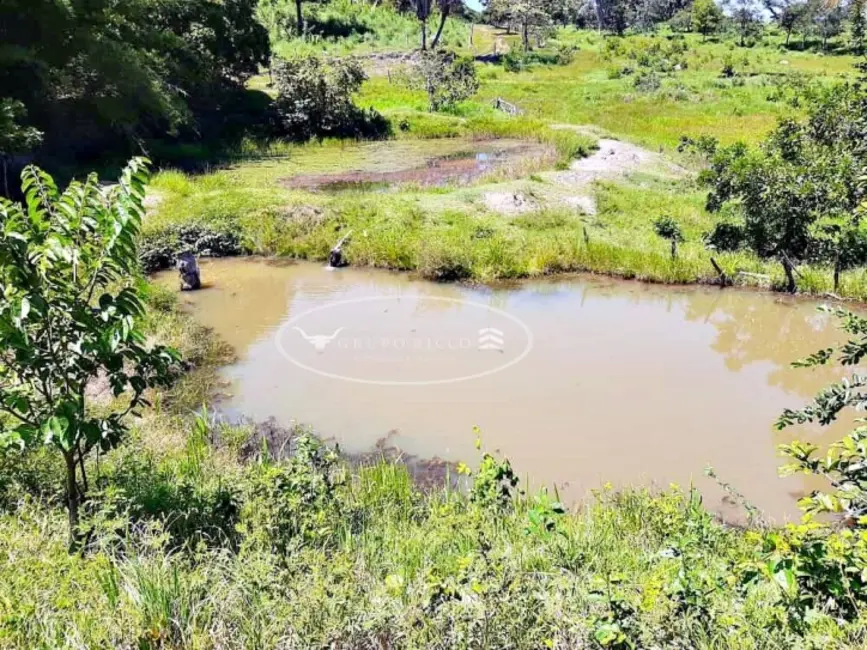 Foto 1 de Chácara à venda, 12m2 em Jaupaci - GO