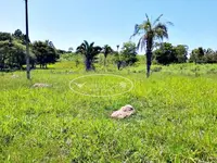 Imagem 7