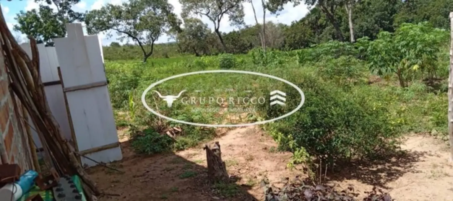 Foto 2 de Chácara à venda em Bom Jardim De Goias - GO