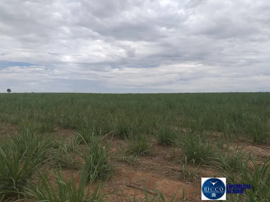 Foto 2 de Fazenda / Haras à venda, 2808m2 em Mineiros - GO