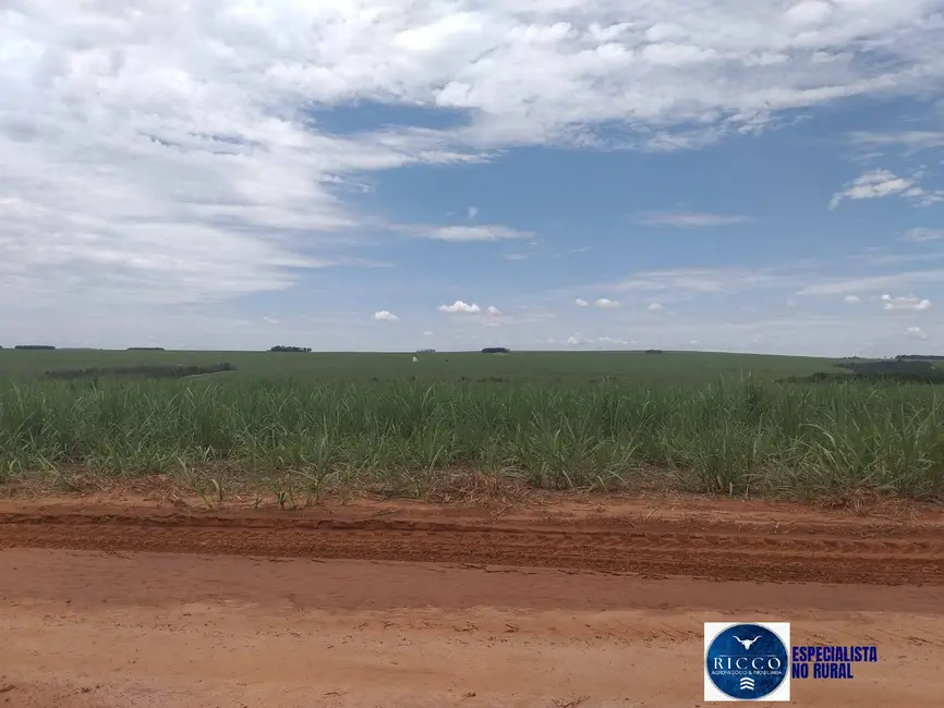 Fazenda / Haras à venda, 2808m2 em Mineiros - GO - imagem 3 Foto 3 de Fazenda / Haras à venda, 2808m2 em Mineiros - GO