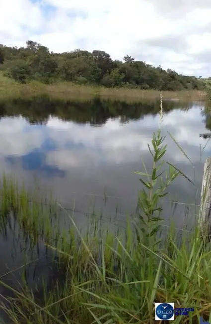 Fazenda / Haras à venda, 2808m2 em Mineiros - GO - imagem 5 Foto 5 de Fazenda / Haras à venda, 2808m2 em Mineiros - GO