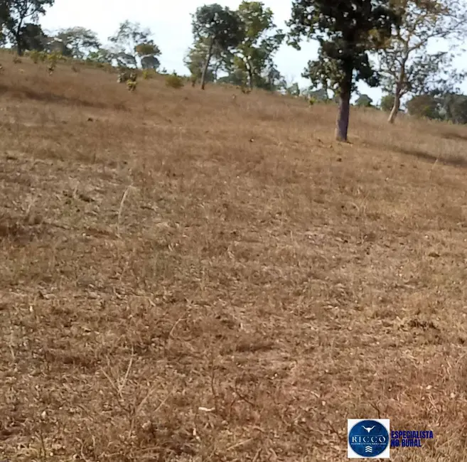 Foto 1 de Fazenda / Haras à venda, 1064m2 em Nova Xavantina - MT