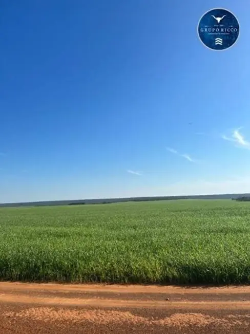 Foto 5 de Fazenda / Haras à venda, 13600m2 em Agua Boa - MT