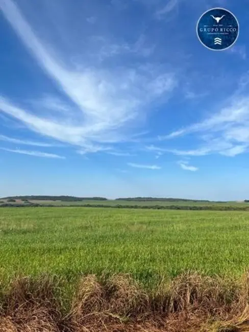Foto 2 de Fazenda / Haras à venda, 13600m2 em Agua Boa - MT