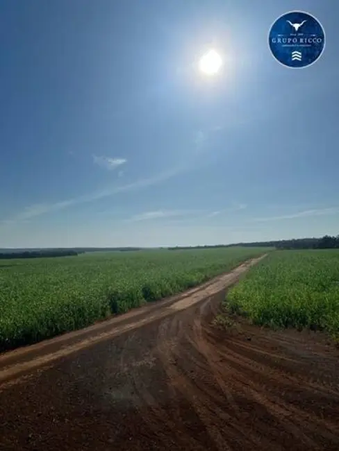 Foto 8 de Fazenda / Haras à venda, 13600m2 em Agua Boa - MT