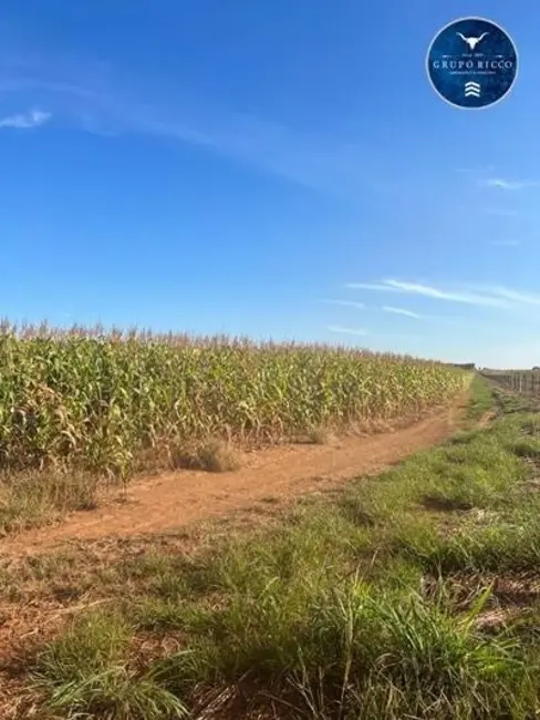 Foto 4 de Fazenda / Haras à venda, 13600m2 em Agua Boa - MT