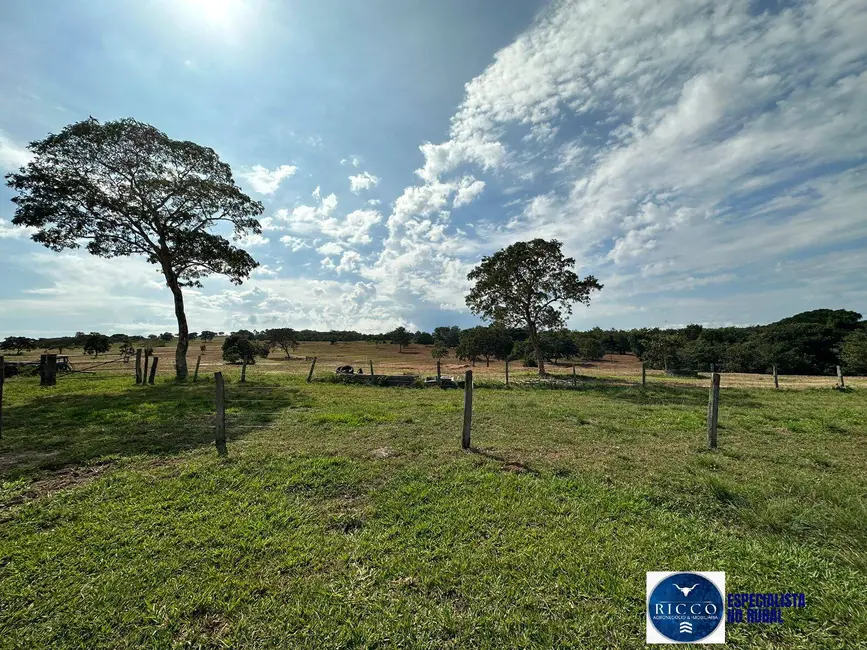 Foto 9 de Fazenda / Haras à venda, 269m2 em General Carneiro - MT