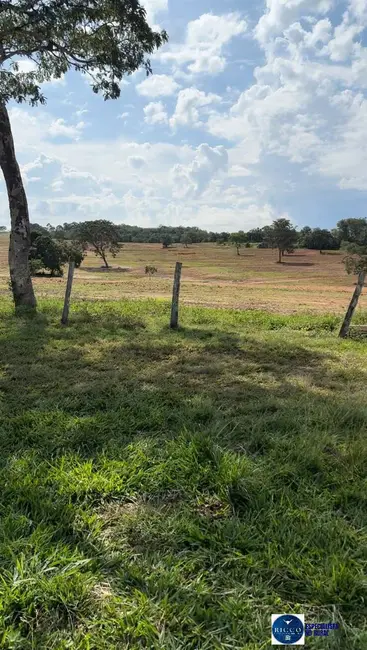Foto 3 de Fazenda / Haras à venda, 269m2 em General Carneiro - MT