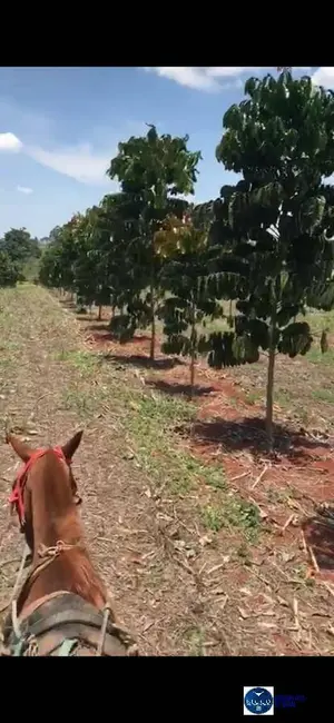 Foto 1 de Chácara à venda, 15m2 em Petrolina De Goias - GO