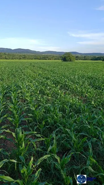 Foto 8 de Fazenda / Haras à venda, 1043m2 em Gurupi - TO