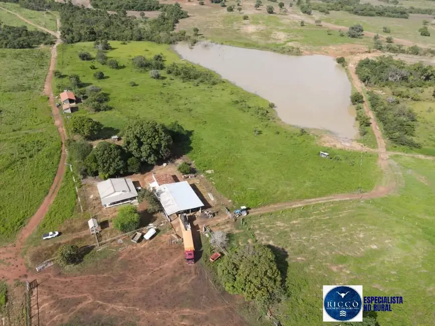 Foto 6 de Fazenda / Haras à venda, 1043m2 em Gurupi - TO