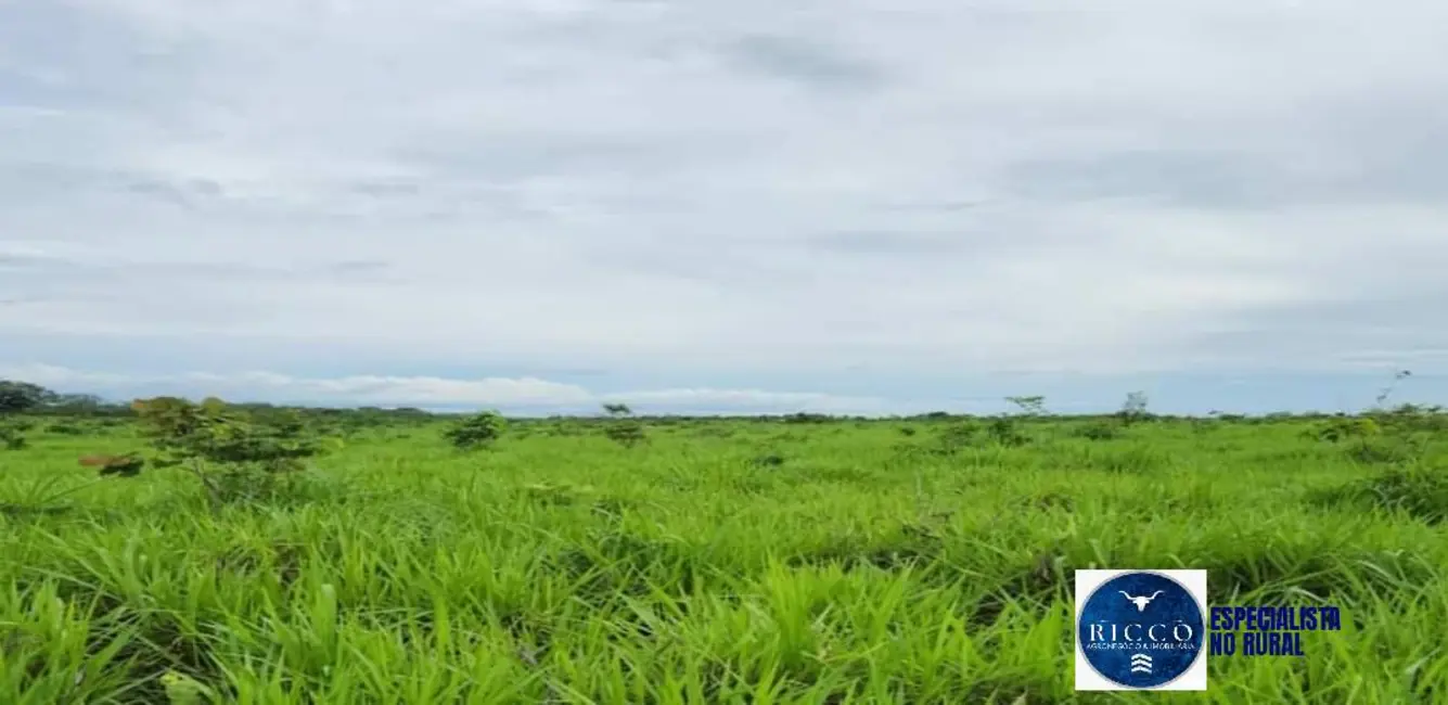 Foto 5 de Fazenda / Haras à venda, 1043m2 em Gurupi - TO