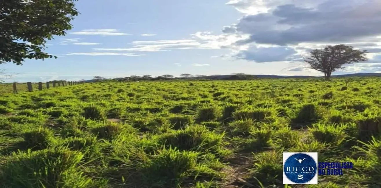 Foto 7 de Fazenda / Haras à venda, 1043m2 em Gurupi - TO