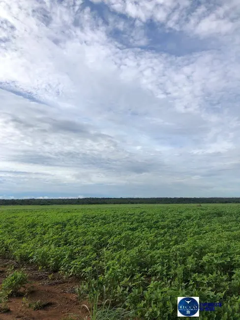 Foto 1 de Fazenda / Haras à venda, 1103m2 em Canabrava Do Norte - MT