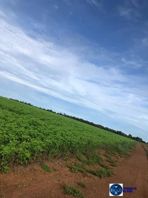 Foto 2 de Fazenda / Haras à venda, 1103m2 em Canabrava Do Norte - MT