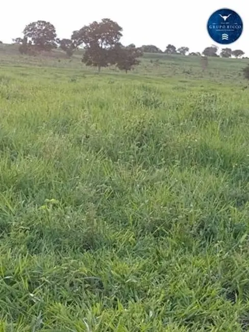 Foto 6 de Chácara à venda em Bom Jardim De Goias - GO