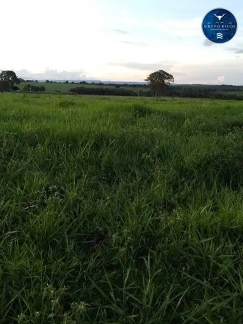 Foto 4 de Chácara à venda em Bom Jardim De Goias - GO